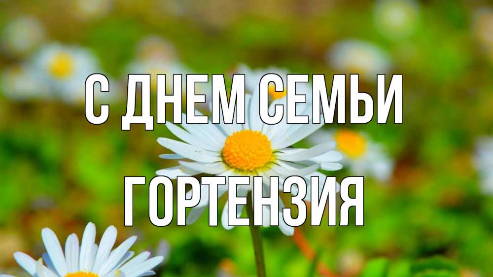 Открытка на каждый день с именем, Гортензия С днем семьи с днем семьи Прикольная открытка с пожеланием онлайн скачать бесплатно 