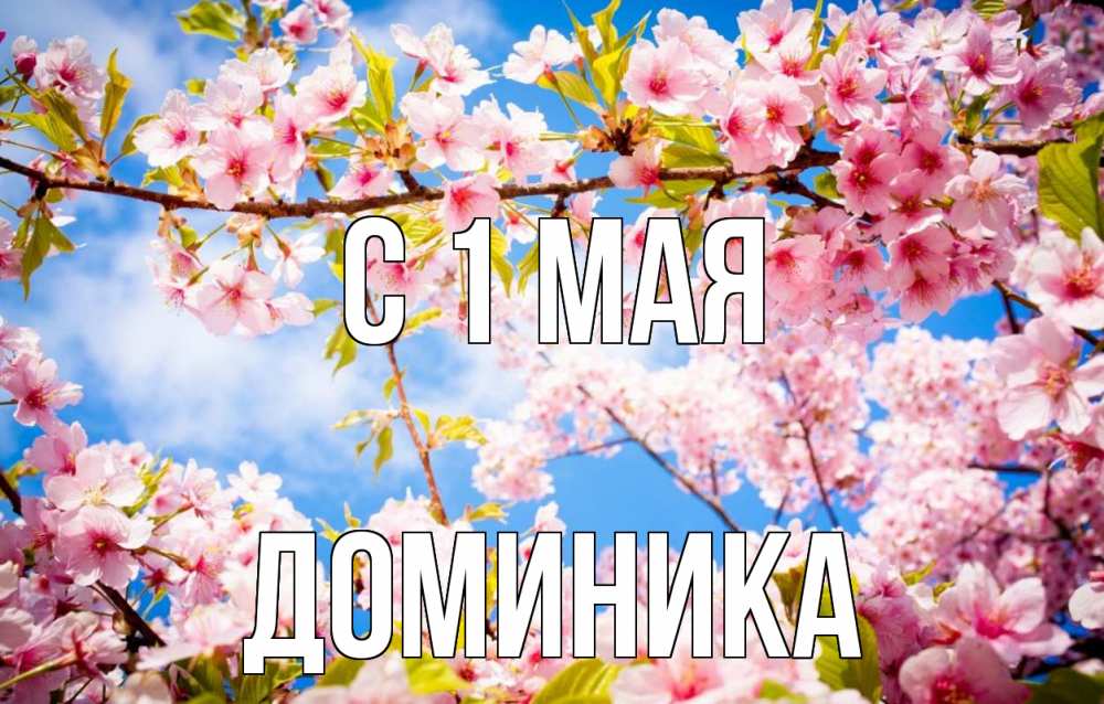 Открытка на каждый день с именем, Доминика С 1 мая С 1 мая Прикольная открытка с пожеланием онлайн скачать бесплатно 