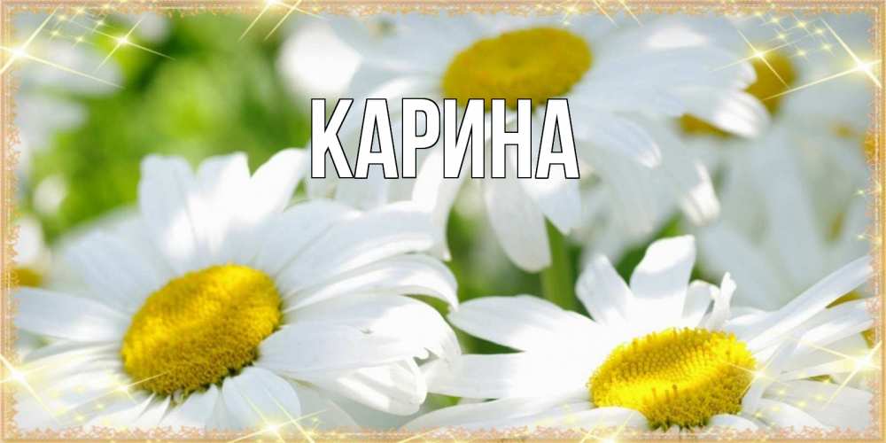 Открытка на каждый день с именем, Карина Главная красивые открытки с белыми цветами на наурыз  праздник весны Прикольная открытка с пожеланием онлайн скачать бесплатно 