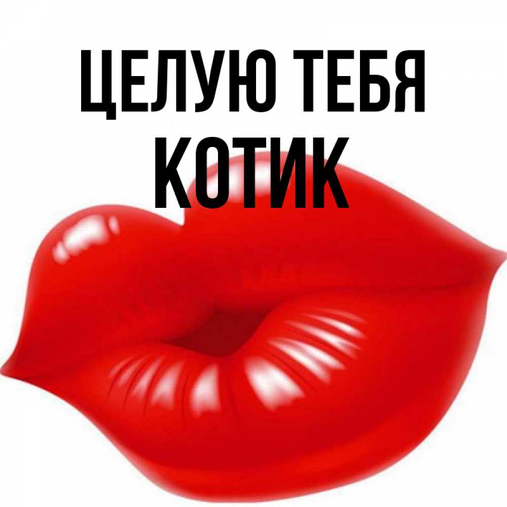 Открытка на каждый день с именем, Котик Целую тебя губки надутые бантиком Прикольная открытка с пожеланием онлайн скачать бесплатно 