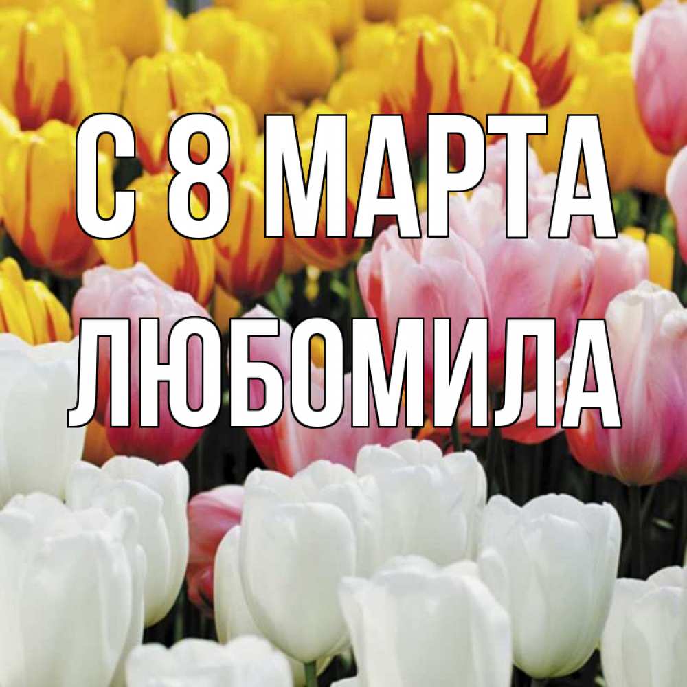 Открытка на каждый день с именем, Любомила С 8 МАРТА разноцветные цветы Прикольная открытка с пожеланием онлайн скачать бесплатно 