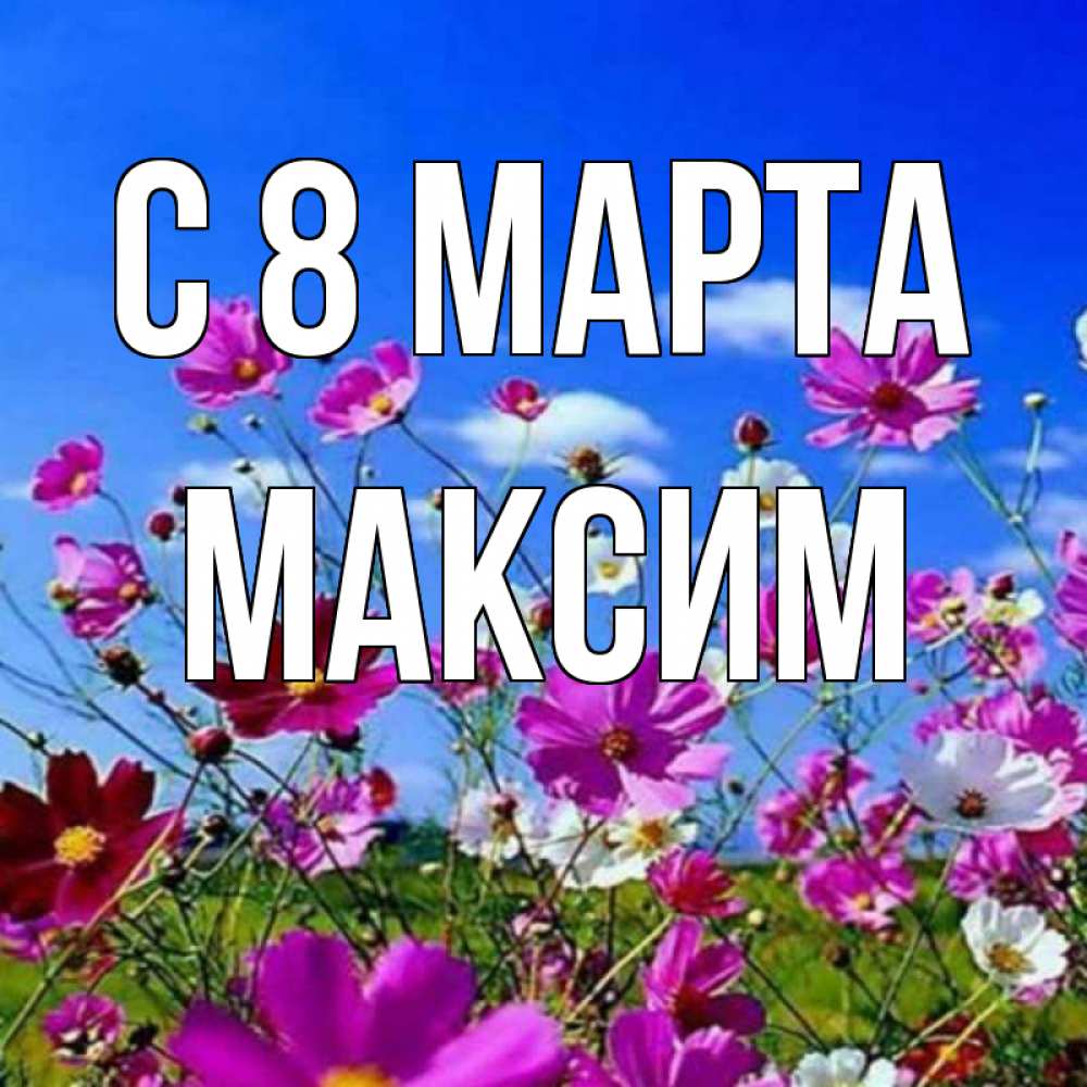 Открытка на каждый день с именем, Максим С 8 МАРТА цветы Прикольная открытка с пожеланием онлайн скачать бесплатно 