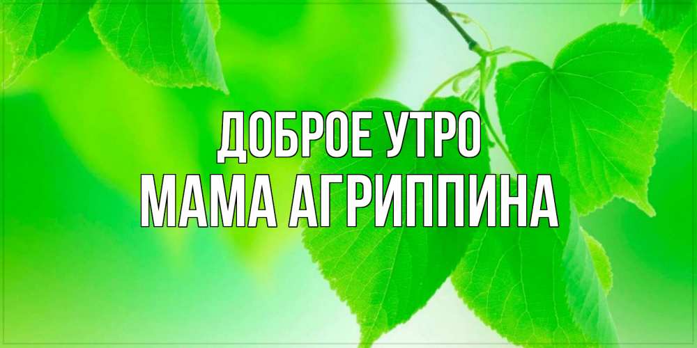 Открытка на каждый день с именем, Мама-Агриппина Доброе утро доброе утро с березовыми листьями Прикольная открытка с пожеланием онлайн скачать бесплатно 