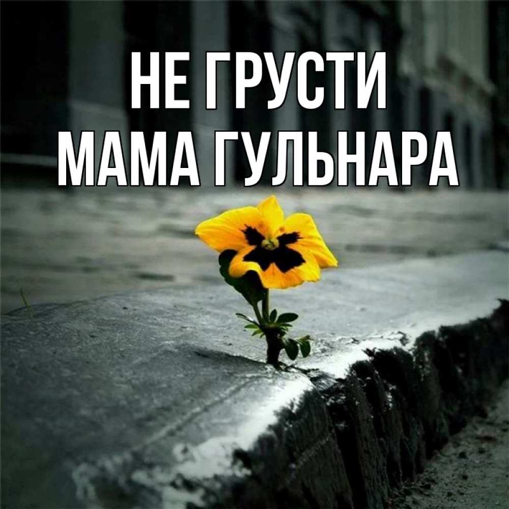Открытка на каждый день с именем, Мама-Гульнара Не грусти не сдавайся Прикольная открытка с пожеланием онлайн скачать бесплатно 