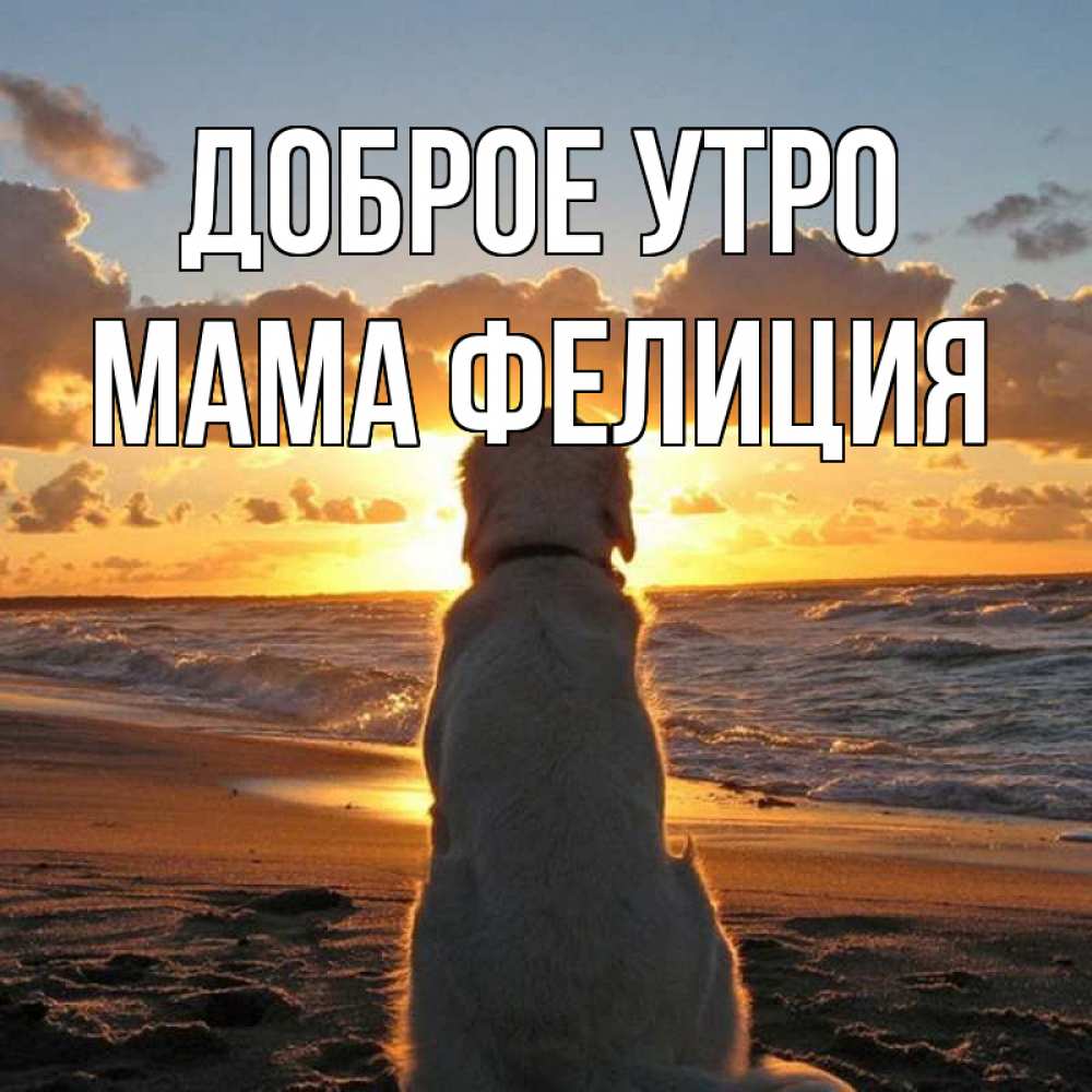 Открытка на каждый день с именем, Мама-Фелиция Доброе утро восход солнца Прикольная открытка с пожеланием онлайн скачать бесплатно 
