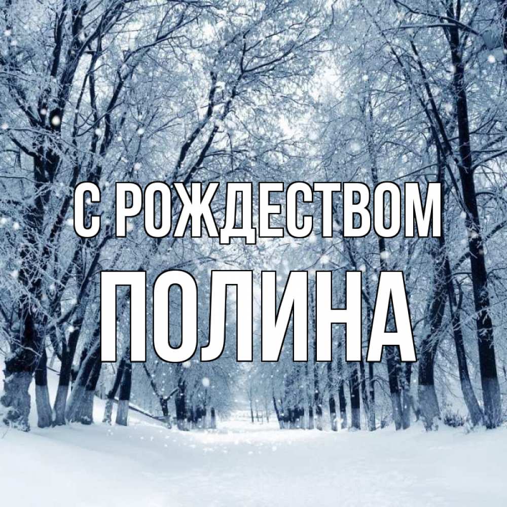 Открытка на каждый день с именем, Полина С рождеством снег, лес, парк Прикольная открытка с пожеланием онлайн скачать бесплатно 