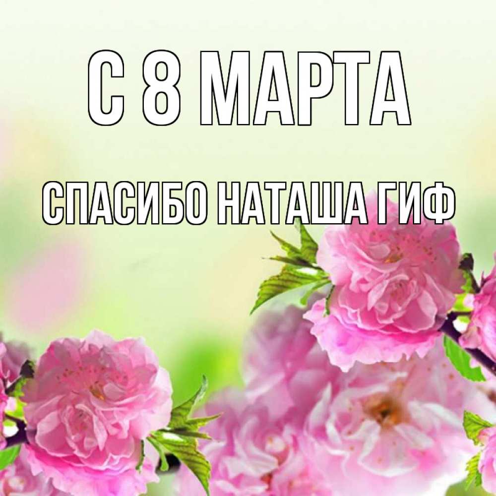 Открытка на каждый день с именем, СПАСИБО-НАТАША-ГИФ С 8 марта цветы Прикольная открытка с пожеланием онлайн скачать бесплатно 