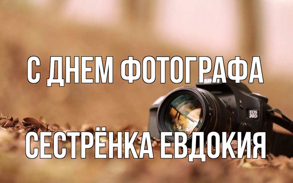 Открытка на каждый день с именем, Сестрёнка-Евдокия С днем фотографа с днем фотографа Прикольная открытка с пожеланием онлайн скачать бесплатно 