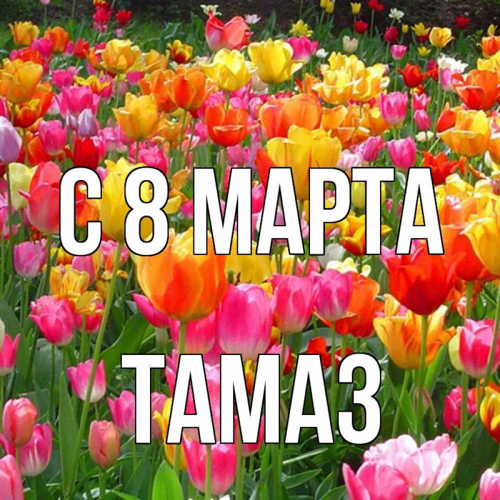 Открытка на каждый день с именем, Тамаз С 8 МАРТА на международный женский день Прикольная открытка с пожеланием онлайн скачать бесплатно 