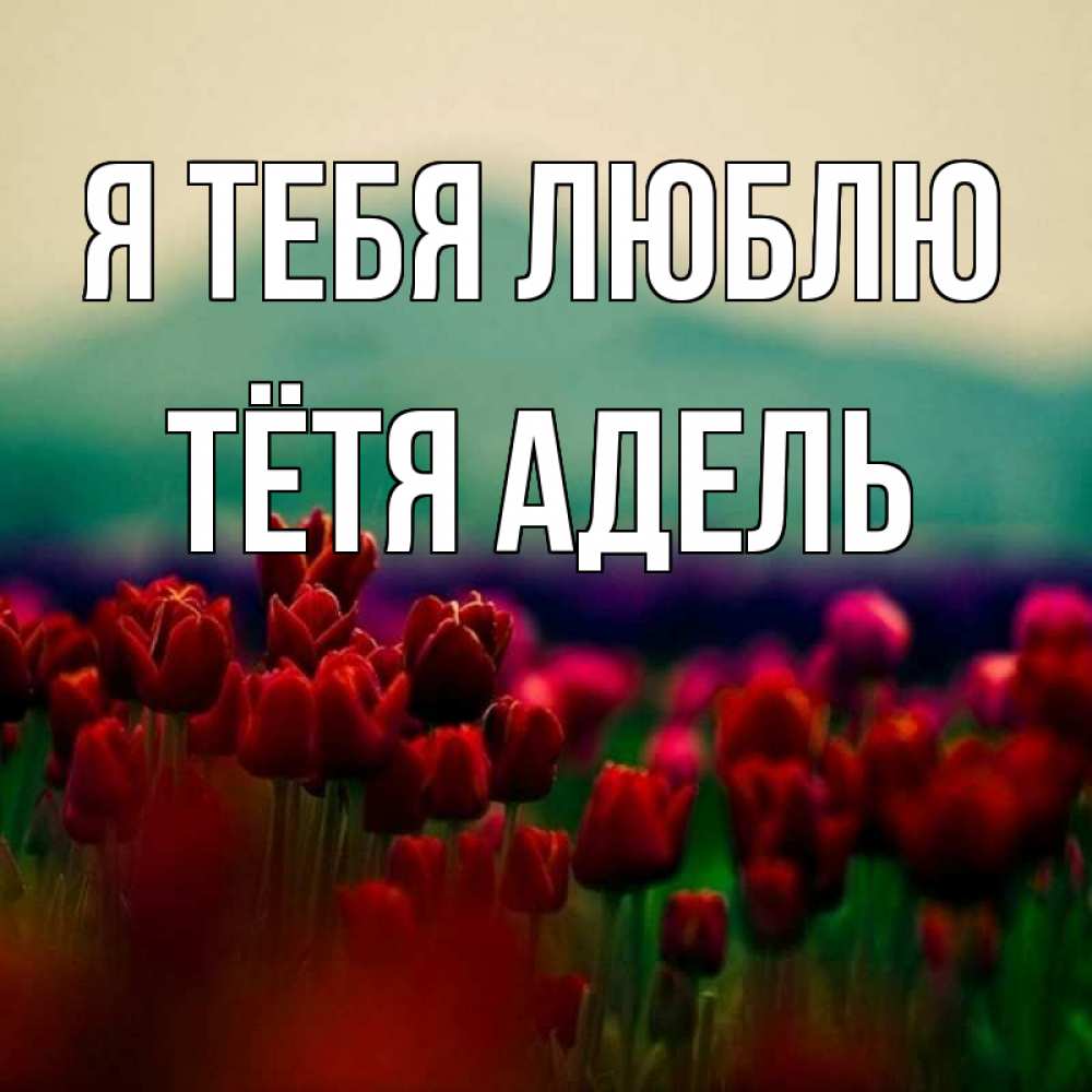 Открытка на каждый день с именем, Тётя-Адель Я тебя люблю тюльпаны 4 Прикольная открытка с пожеланием онлайн скачать бесплатно 