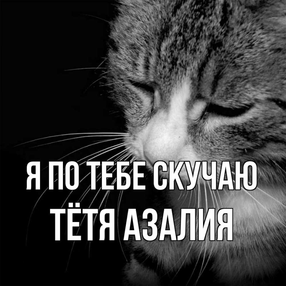 Открытка на каждый день с именем, Тётя-Азалия Я по тебе скучаю мне скучно Прикольная открытка с пожеланием онлайн скачать бесплатно 