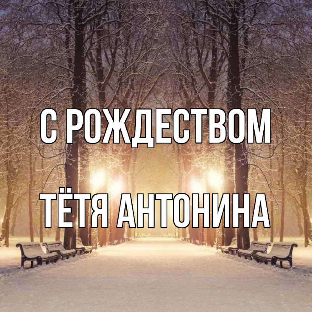 Открытка на каждый день с именем, Тётя-Антонина С рождеством зима, парк, фонарь, лес Прикольная открытка с пожеланием онлайн скачать бесплатно 