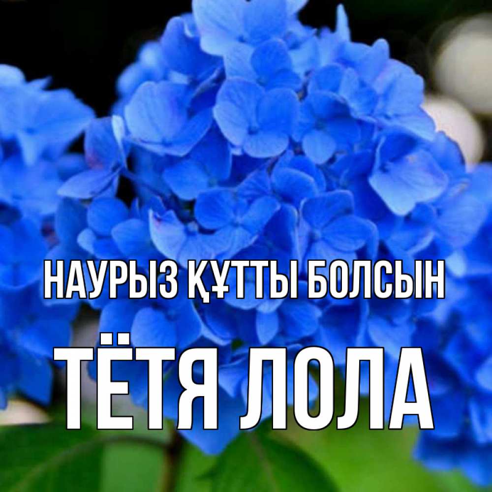 Открытка на каждый день с именем, Тётя-Лола Наурыз құтты болсын синие цветы Прикольная открытка с пожеланием онлайн скачать бесплатно 