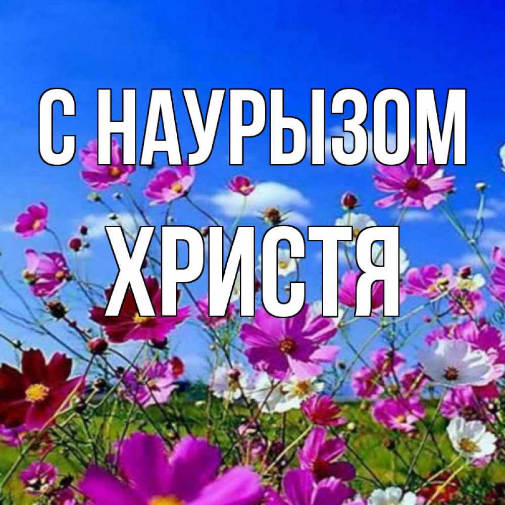 Открытка на каждый день с именем, Христя С наурызом цветы Прикольная открытка с пожеланием онлайн скачать бесплатно 