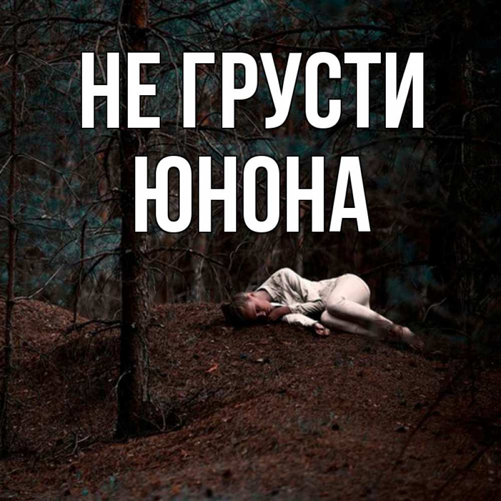 Открытка на каждый день с именем, Юнона Не грусти лес Прикольная открытка с пожеланием онлайн скачать бесплатно 