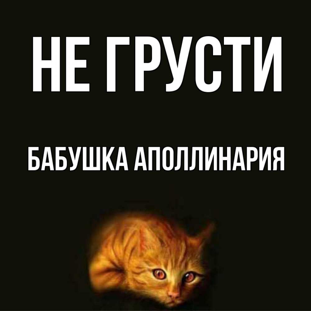 Открытка на каждый день с именем, Бабушка-Аполлинария Не грусти лежащий кот в темноте Прикольная открытка с пожеланием онлайн скачать бесплатно 