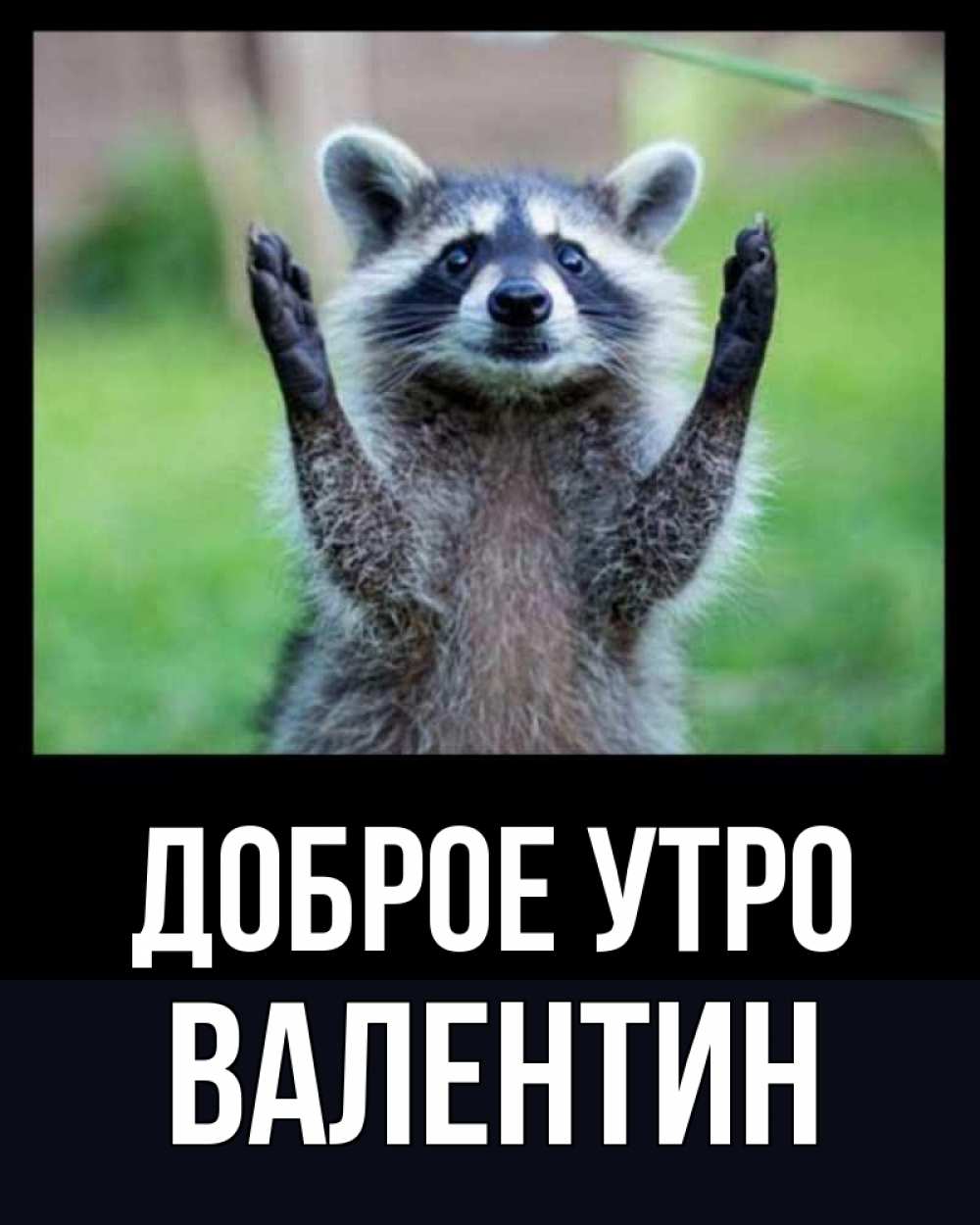 Открытка на каждый день с именем, Валентин Доброе утро хорошее настроение утречком Прикольная открытка с пожеланием онлайн скачать бесплатно 