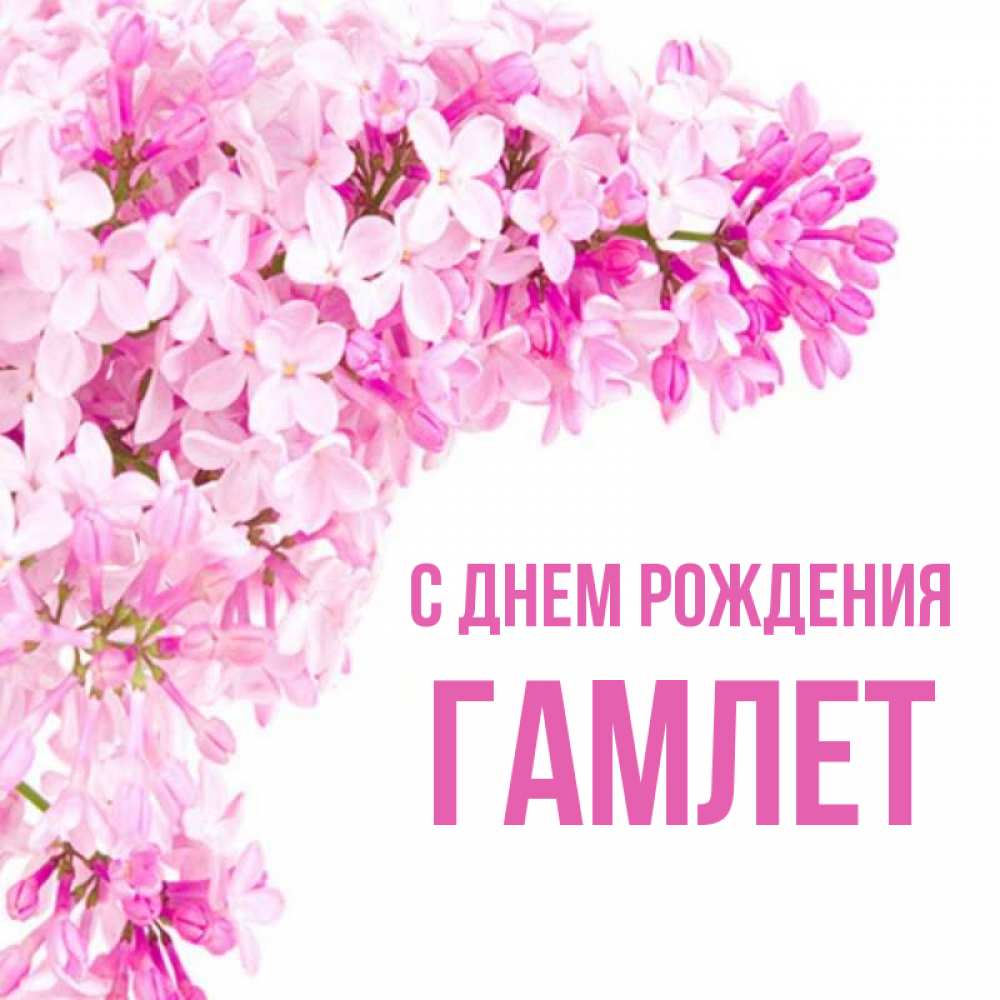Гамлет С Днем Рождения