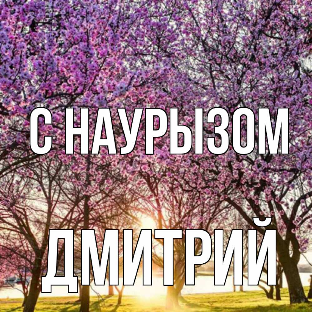 Открытка на каждый день с именем, Дмитрий С наурызом праздник весны наурыз Прикольная открытка с пожеланием онлайн скачать бесплатно 