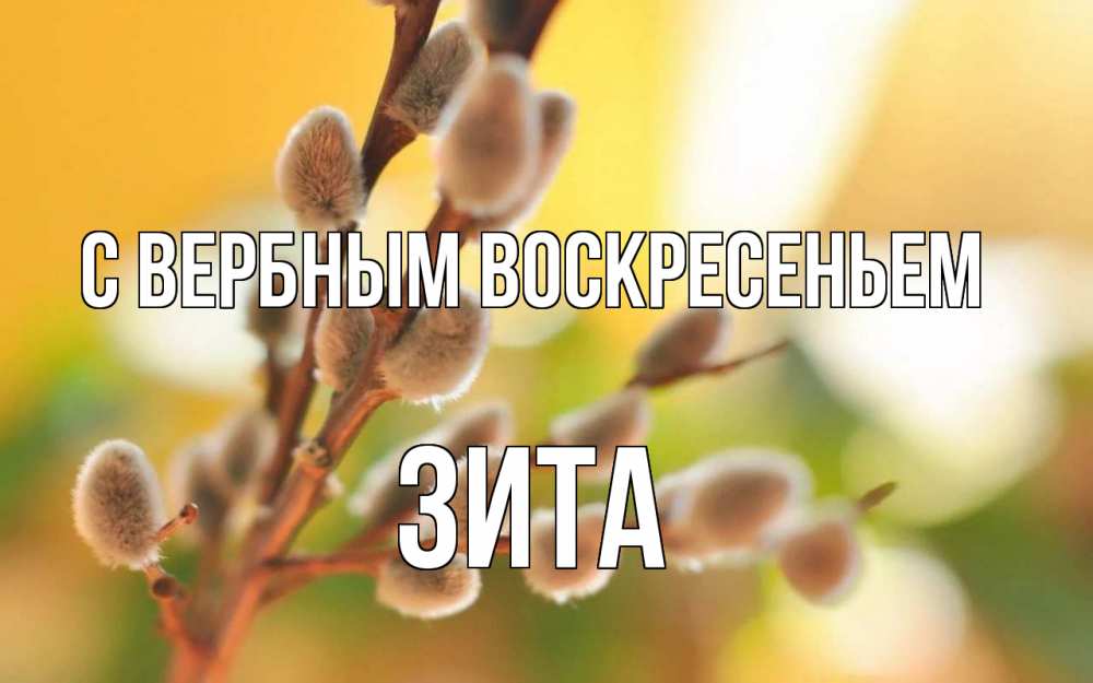 Открытка на каждый день с именем, Зита С вербным воскресеньем верба Прикольная открытка с пожеланием онлайн скачать бесплатно 