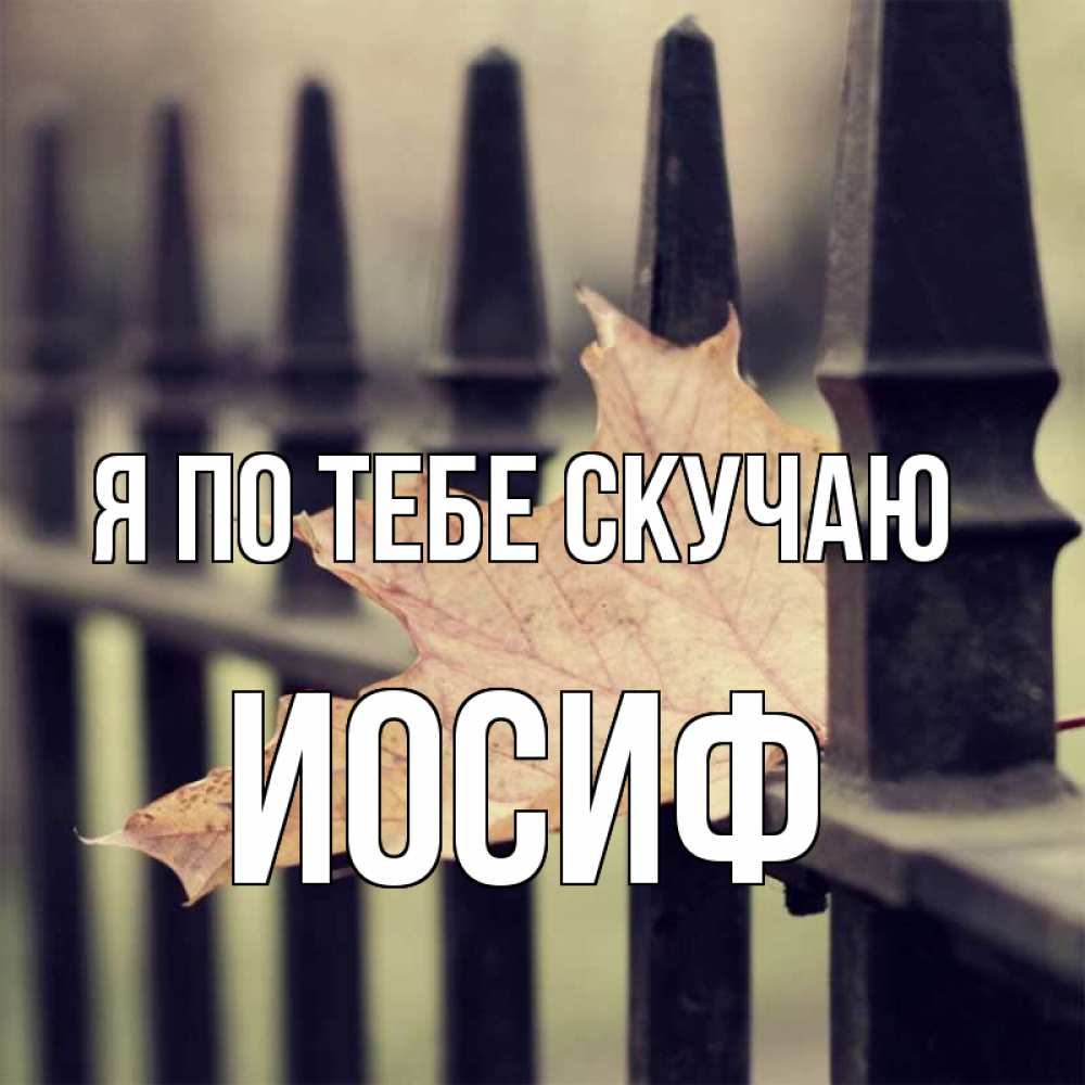 Открытка на каждый день с именем, Иосиф Я по тебе скучаю очень скучно Прикольная открытка с пожеланием онлайн скачать бесплатно 