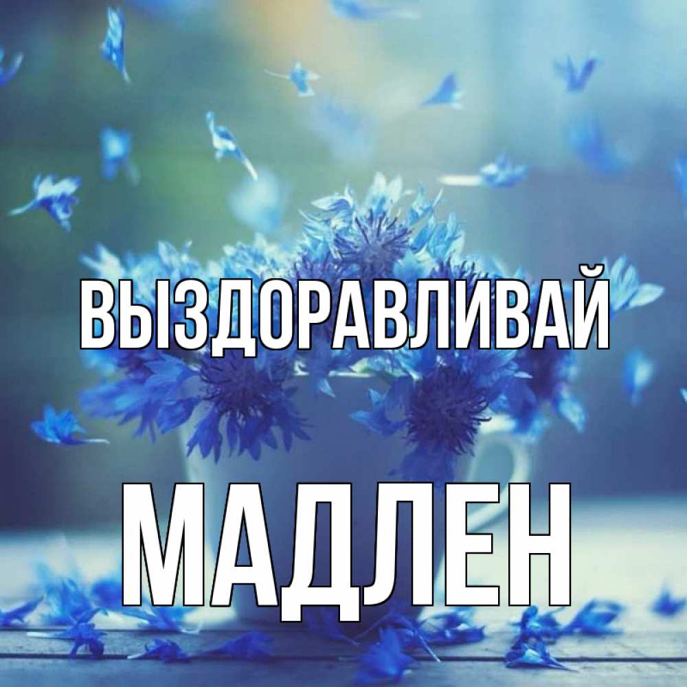 Открытка на каждый день с именем, Мадлен Выздоравливай кружка с зельем и цветами Прикольная открытка с пожеланием онлайн скачать бесплатно 