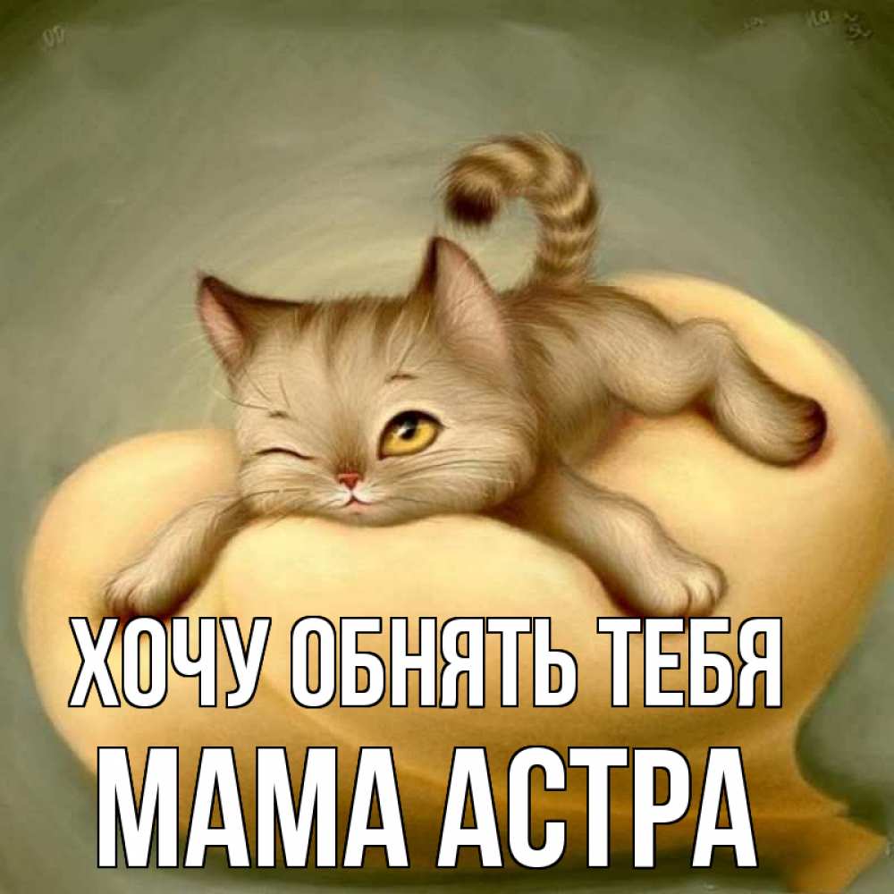 Открытка на каждый день с именем, Мама-Астра Хочу обнять тебя кошечка Прикольная открытка с пожеланием онлайн скачать бесплатно 
