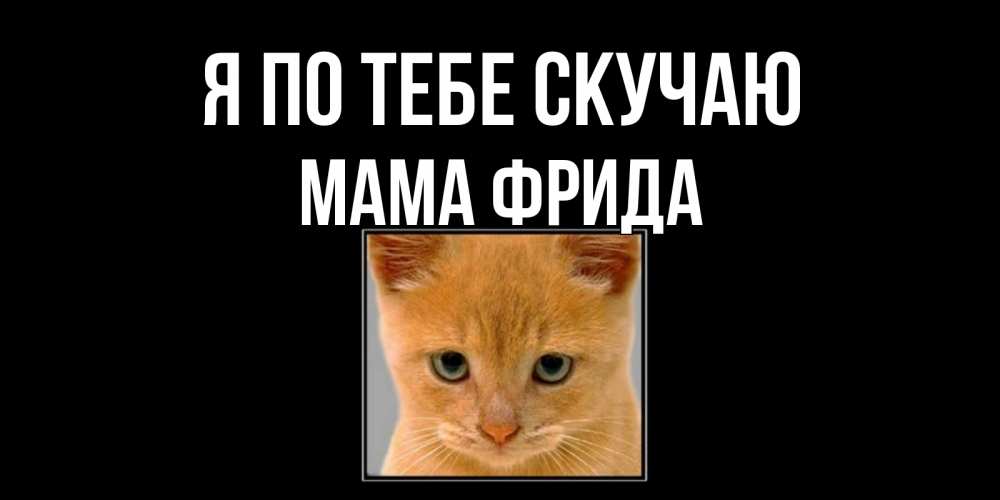 Открытка на каждый день с именем, Мама-Фрида Я по тебе скучаю открытки рыжий котенок скучает по тебе Прикольная открытка с пожеланием онлайн скачать бесплатно 