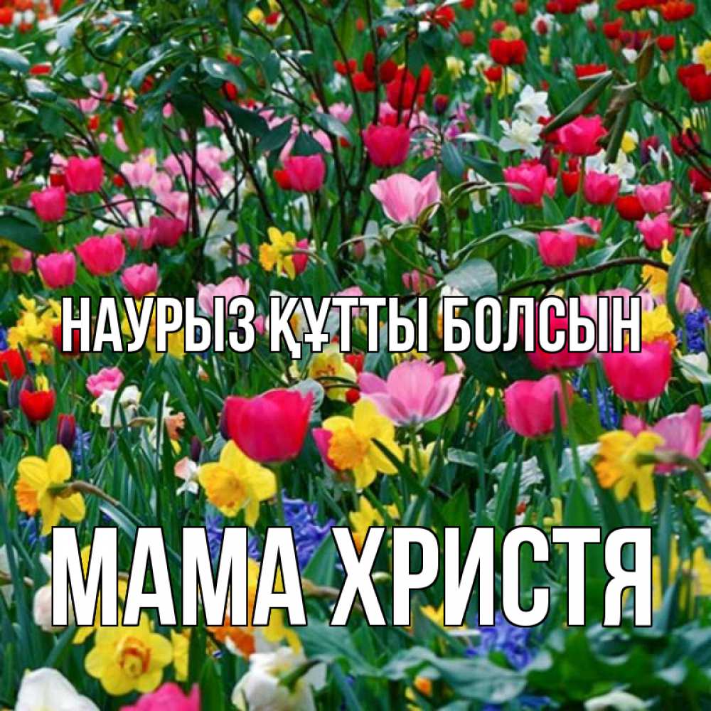 Открытка на каждый день с именем, Мама-Христя Наурыз құтты болсын с наурызом поздравления для женщины Прикольная открытка с пожеланием онлайн скачать бесплатно 