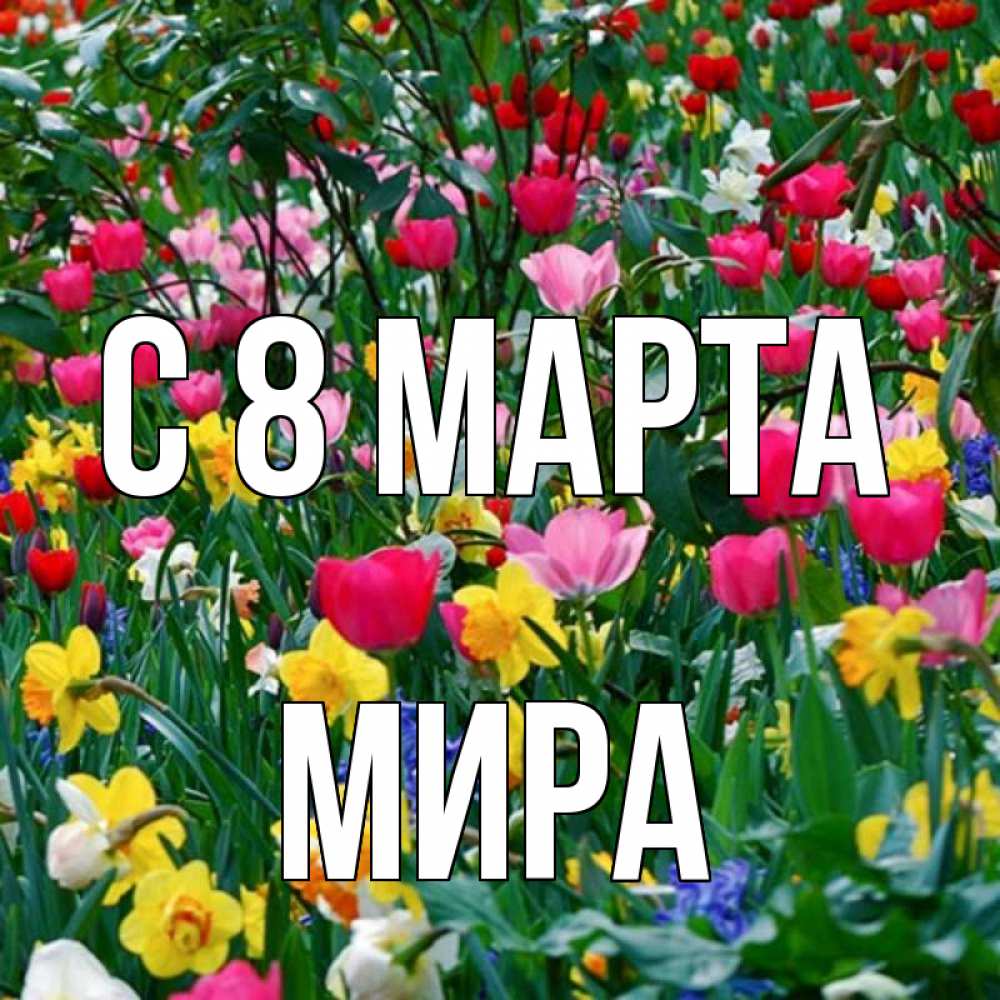 Открытка на каждый день с именем, Мира С 8 МАРТА с международным женским днем поздравления для женщины Прикольная открытка с пожеланием онлайн скачать бесплатно 