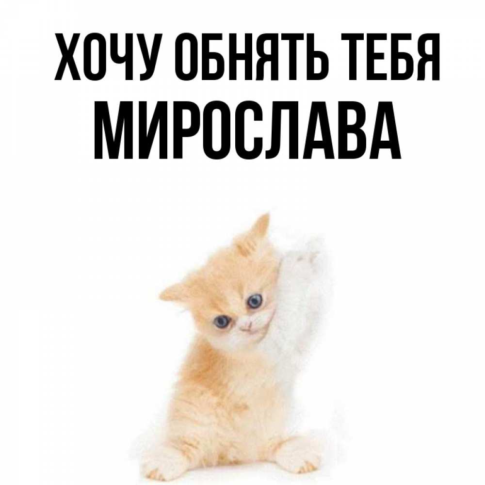 Открытка на каждый день с именем, Мирослава Хочу обнять тебя я хочу очень скорее обнимаешек Прикольная открытка с пожеланием онлайн скачать бесплатно 