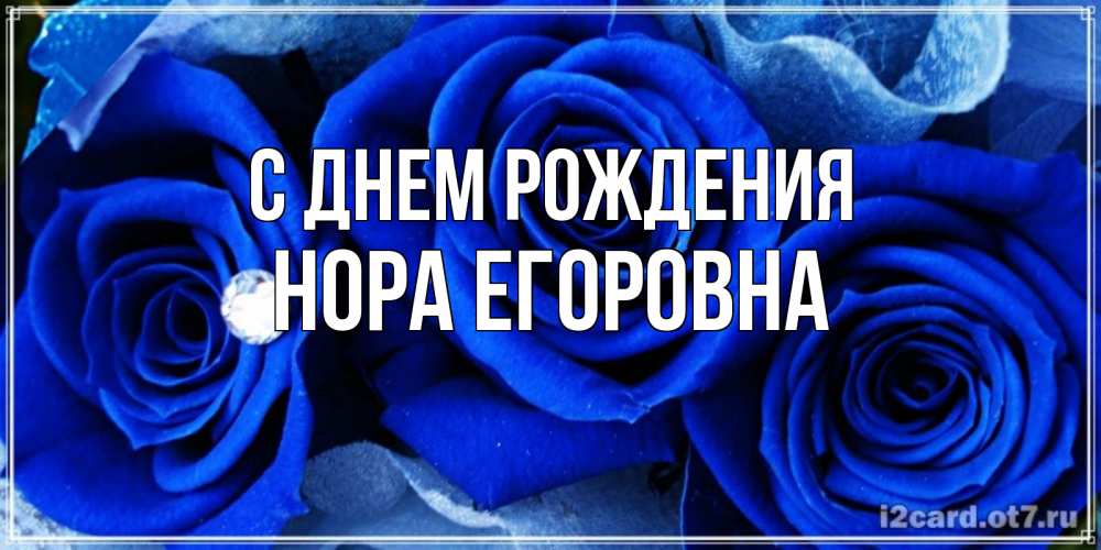 Открытка на каждый день с именем, Нора-Егоровна С днем рождения синие розы в росе Прикольная открытка с пожеланием онлайн скачать бесплатно 