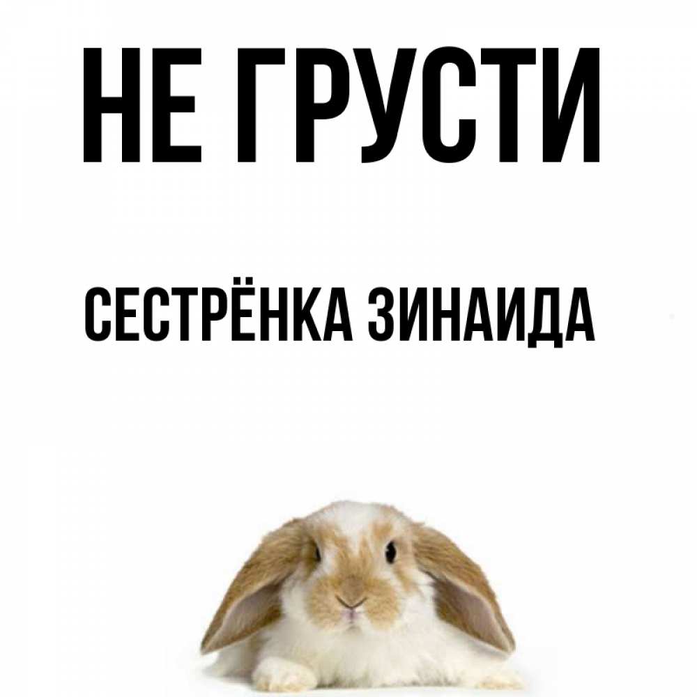 Открытка на каждый день с именем, Сестрёнка-Зинаида Не грусти коричнево белый заяц с большими ушками Прикольная открытка с пожеланием онлайн скачать бесплатно 