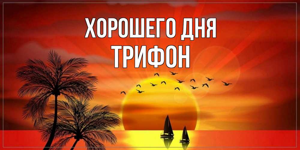 Открытка на каждый день с именем, Трифон Хорошего дня открытки с пожеланиями хорошего дня Прикольная открытка с пожеланием онлайн скачать бесплатно 