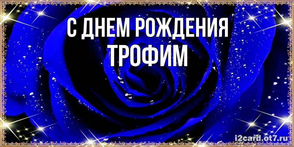 Открытка на каждый день с именем, Трофим С днем рождения голубые цветы в росе Прикольная открытка с пожеланием онлайн скачать бесплатно 
