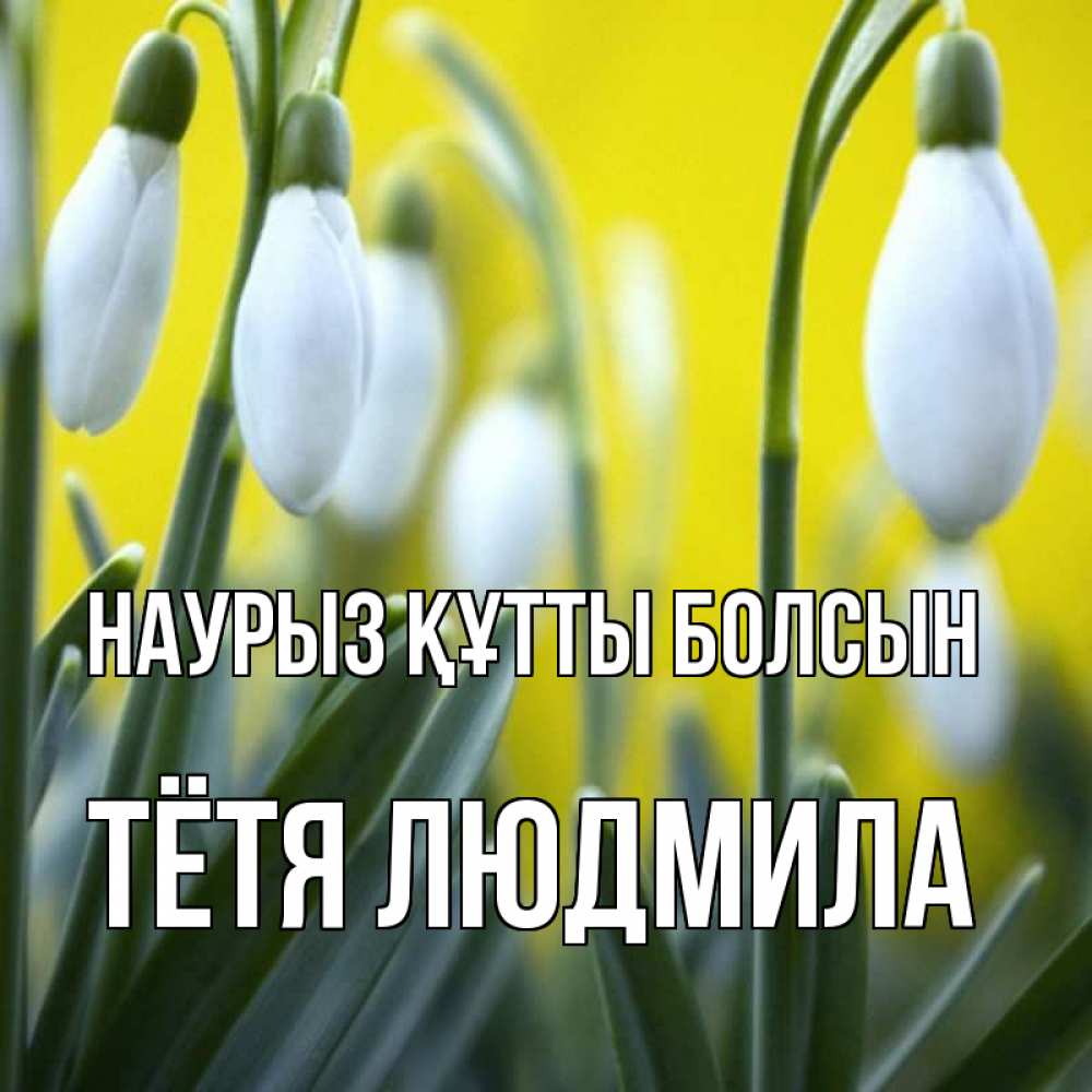 Открытка на каждый день с именем, Тётя-Людмила Наурыз құтты болсын весенние цветы Прикольная открытка с пожеланием онлайн скачать бесплатно 