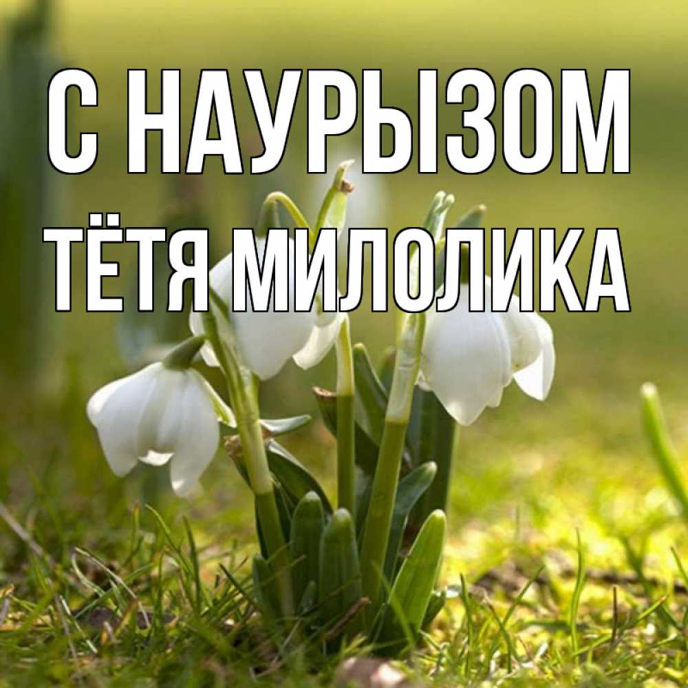 Открытка на каждый день с именем, Тётя-Милолика С наурызом ранние цветы 2 Прикольная открытка с пожеланием онлайн скачать бесплатно 