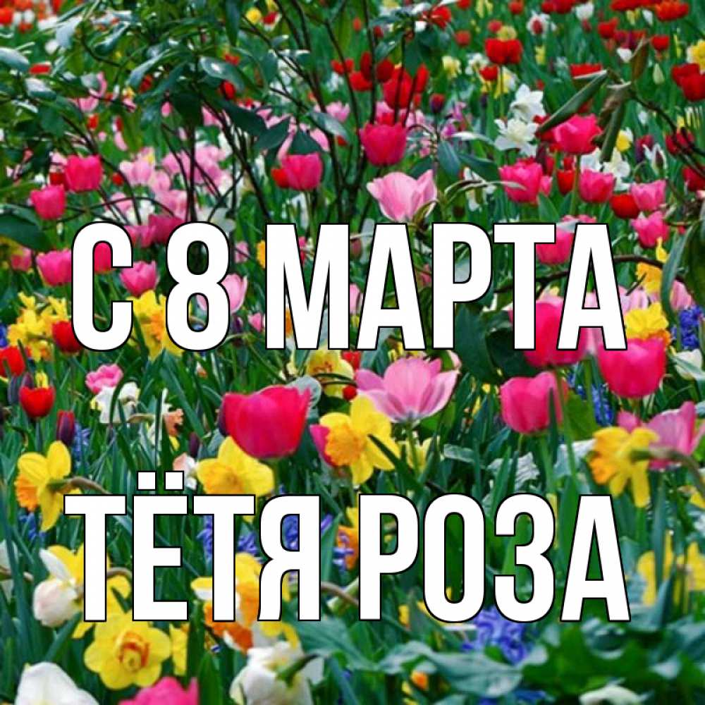 Открытка на каждый день с именем, Тётя-Роза С 8 МАРТА с международным женским днем поздравления для женщины Прикольная открытка с пожеланием онлайн скачать бесплатно 