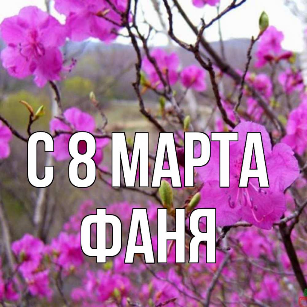 Открытка на каждый день с именем, Фаня С 8 МАРТА международный женский день Прикольная открытка с пожеланием онлайн скачать бесплатно 