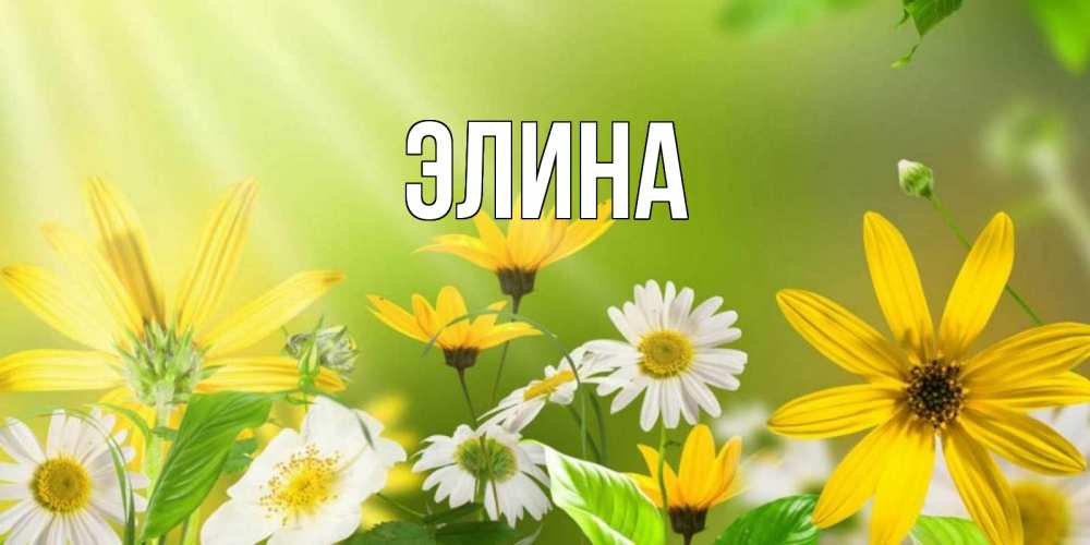 Открытка на каждый день с именем, Элина Главная цветы Прикольная открытка с пожеланием онлайн скачать бесплатно 