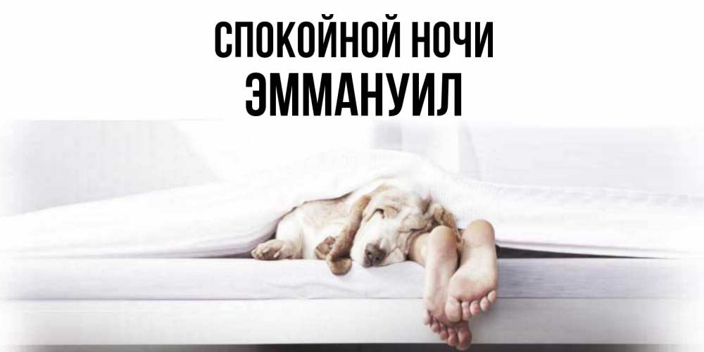 Открытка на каждый день с именем, Эммануил Спокойной ночи кровать с собакой пожелание сладких снов и спокойной ночи Прикольная открытка с пожеланием онлайн скачать бесплатно 