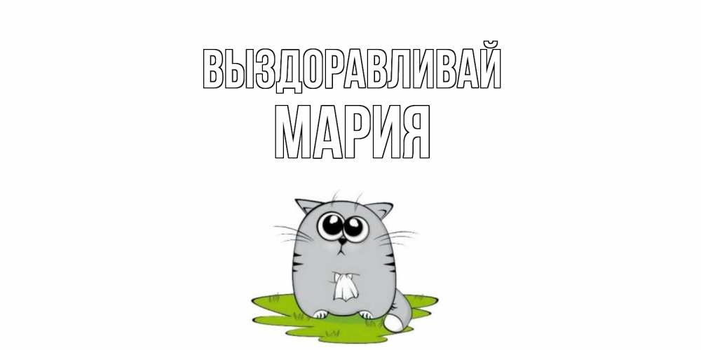 Открытка на каждый день с именем, Мария Выздоравливай кот и открытки про выздоровление Прикольная открытка с пожеланием онлайн скачать бесплатно 