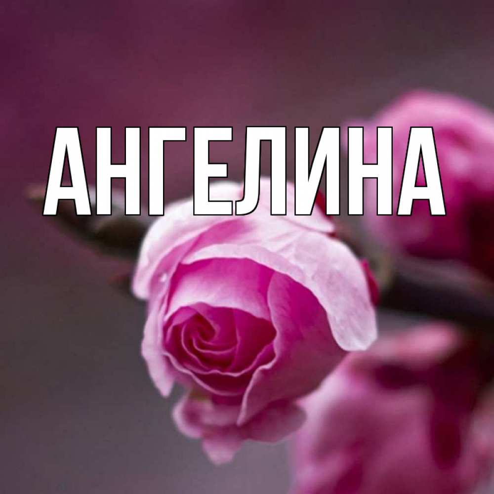 Картинки с именем ангелина