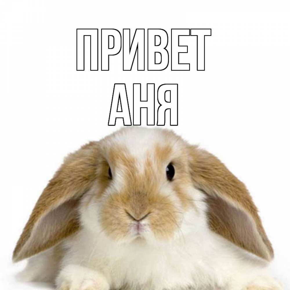 Привет это аня. Бездна приколы. Психомемы. Привет анюта картинки. Привет это аня.