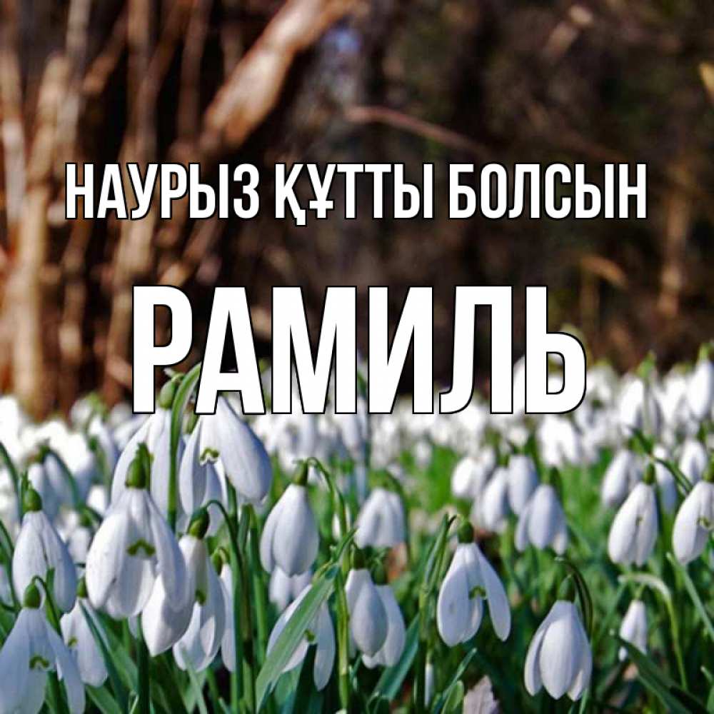 Открытка на каждый день с именем, Рамиль Наурыз құтты болсын с подснежниками 1 Прикольная открытка с пожеланием онлайн скачать бесплатно 