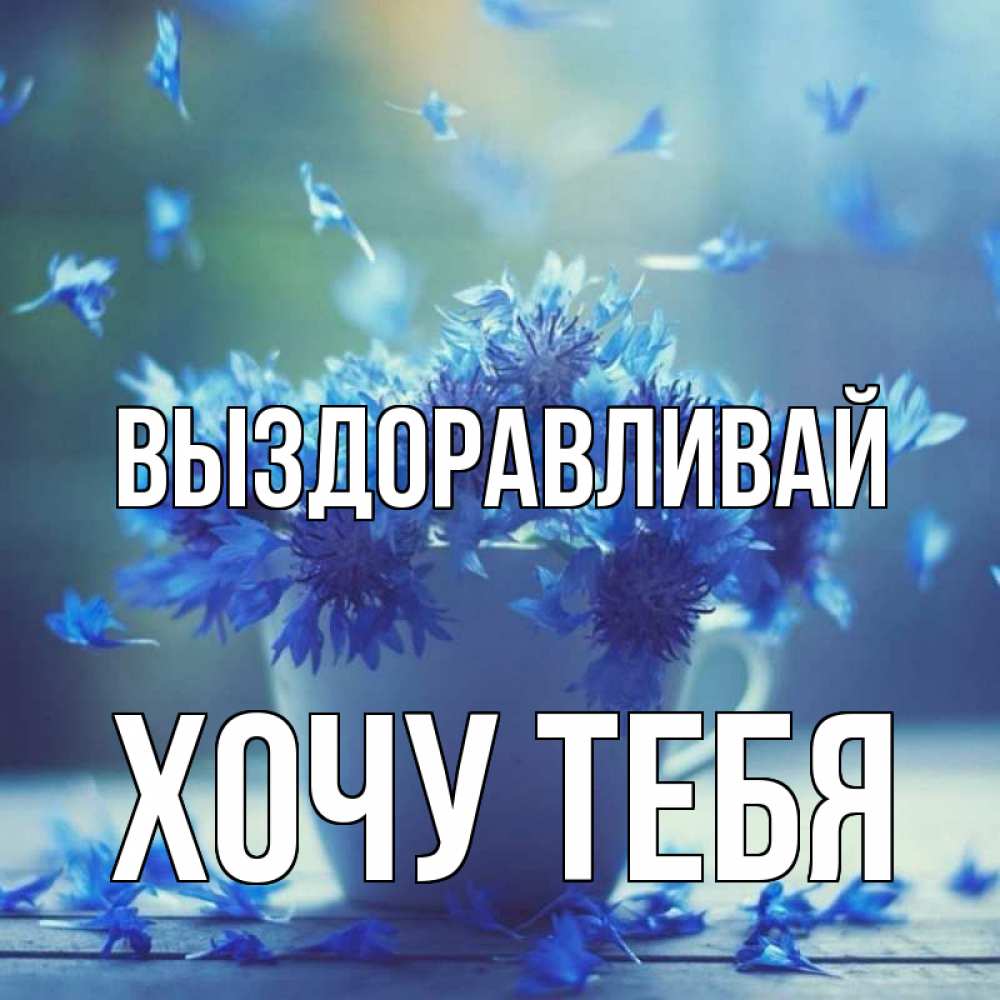 Картинка Выздоравливай, Хочу тебя
