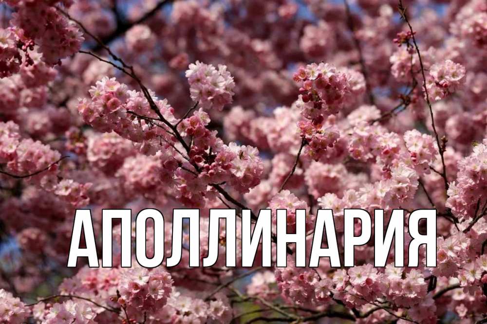 Открытка на каждый день с именем, Аполлинария Главная С 1 мая Прикольная открытка с пожеланием онлайн скачать бесплатно 