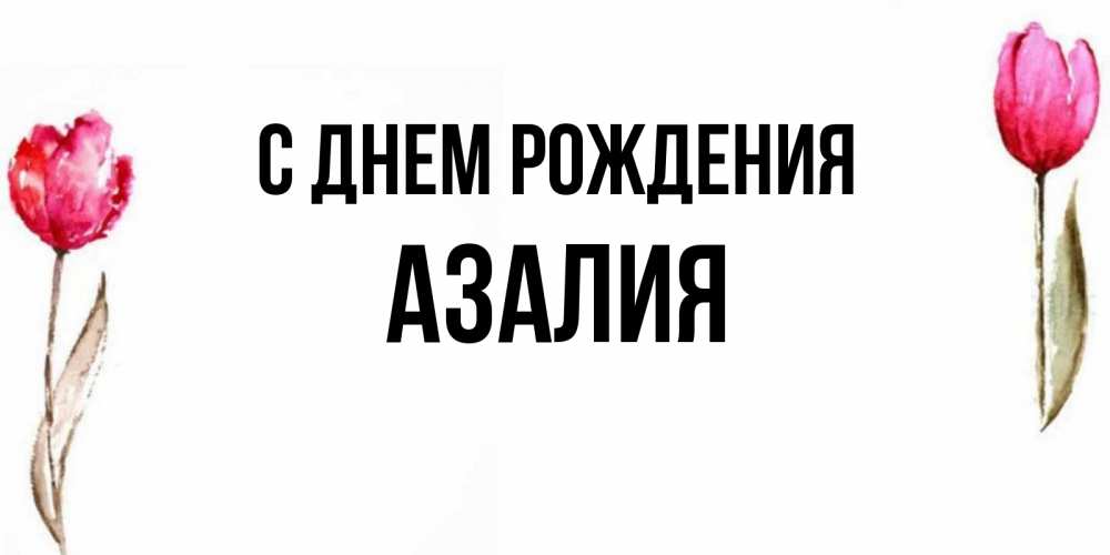 Азалия с днем рождения картинки для девочки стильные