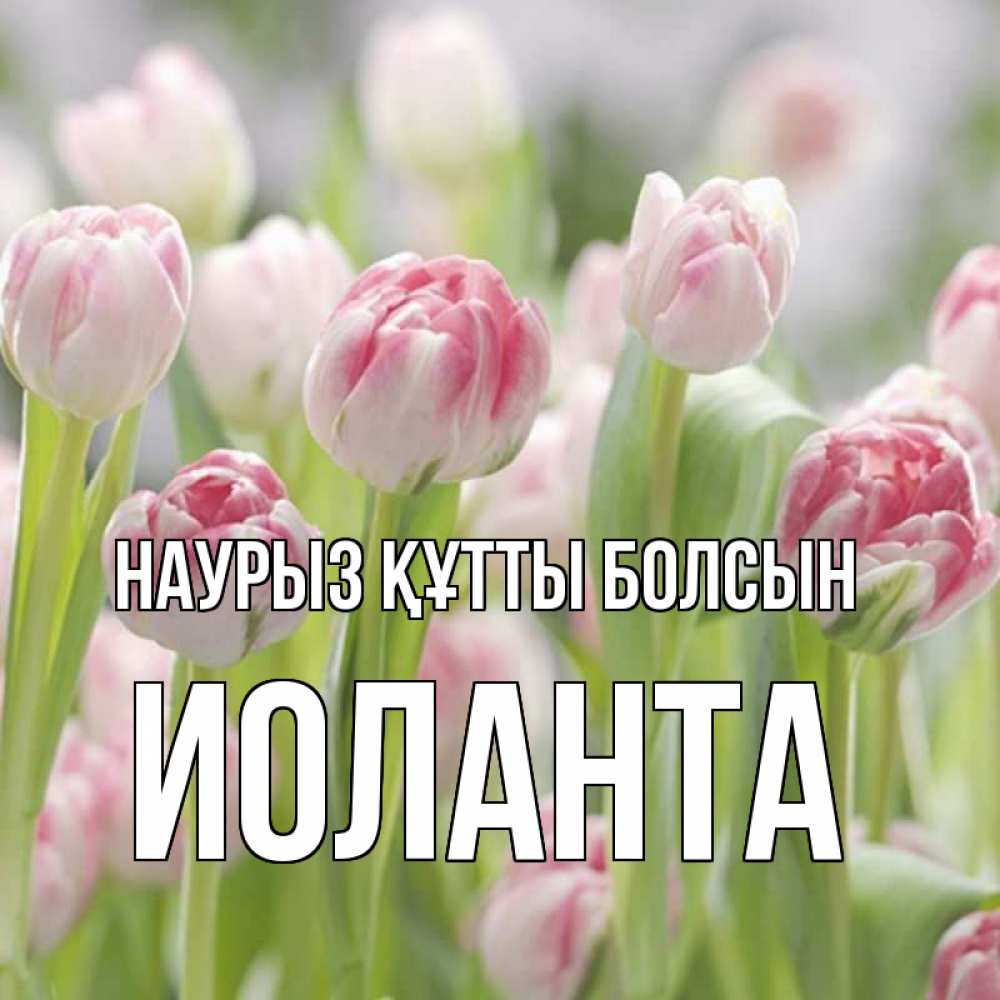 Открытка на каждый день с именем, Иоланта Наурыз құтты болсын цветы Прикольная открытка с пожеланием онлайн скачать бесплатно 