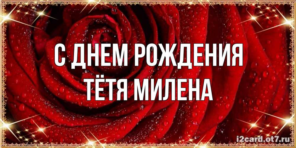 Открытка на каждый день с именем, Тётя-Милена С днем рождения роса на розе блестящая в лучах солнца Прикольная открытка с пожеланием онлайн скачать бесплатно 